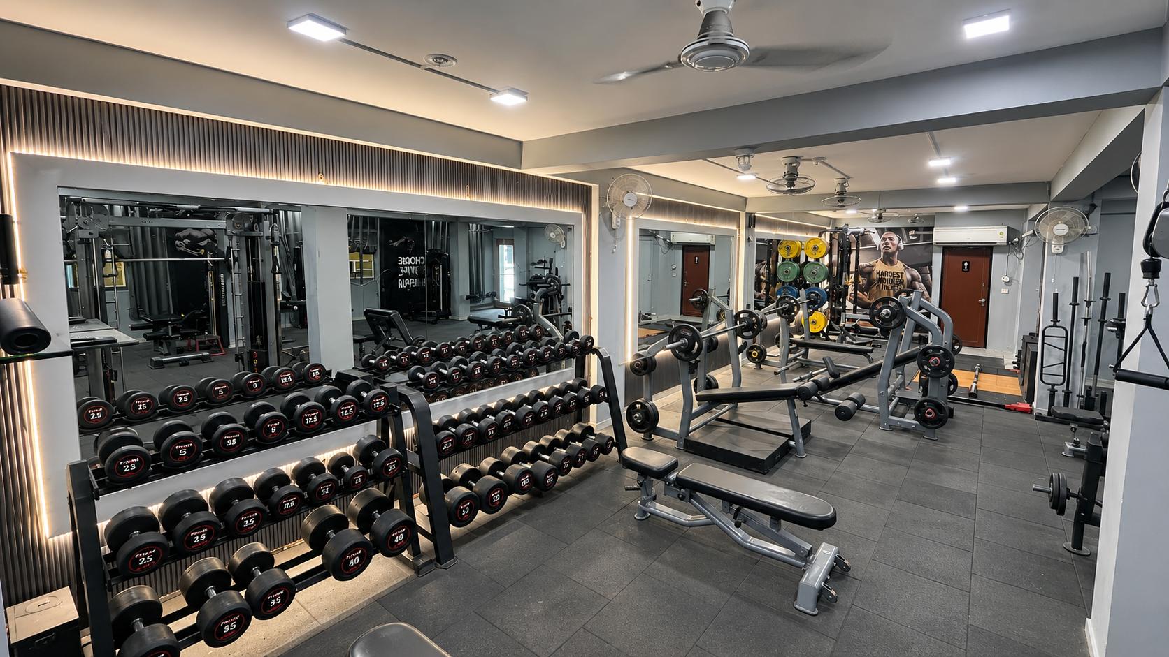 Absolute Fit weights section